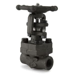 Industrial Globe Valve